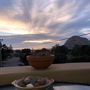 Meet your Posher, Noah